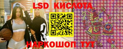 Альфа ПВП Краснознаменск