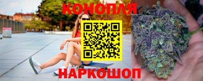 Альфа ПВП Краснознаменск