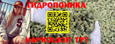 Альфа ПВП Краснознаменск