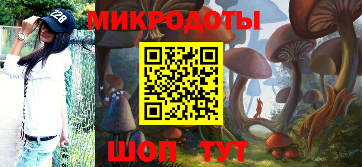 Киселёвск  Галлюциногенные грибы Psilocybe  Вход с VPN  Галлюциногенные грибы мухоморы 