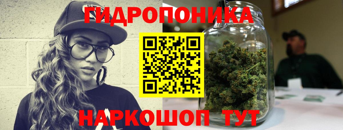 Киселёвск  Каннабис конопля  Вход с VPN  Марихуана Amnesia  Канабис конопля 